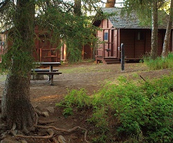 Roosevelt Lodge Cabins